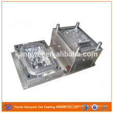 ISO Qualified Plastic Precision Injection Mould